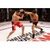перчатки для ММА WSOF MMA Glove by Fuji Sports