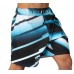шорты FUJI Ice Grappling Shorts