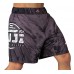 шорты FUJI Mount Grappling Shorts