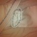 Кимоно Fuji Sports Double Weave Judo Gi White 