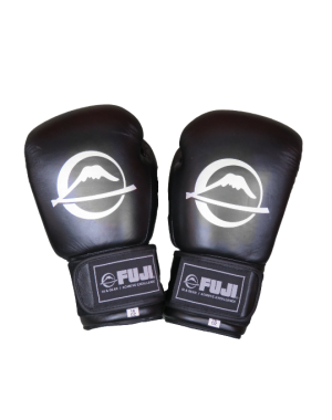 боксерские перчатки FUJI Sports Pro Performance Boxing Gloves
