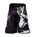 шорты для ММА FUJI Musashi Board Shorts #2029